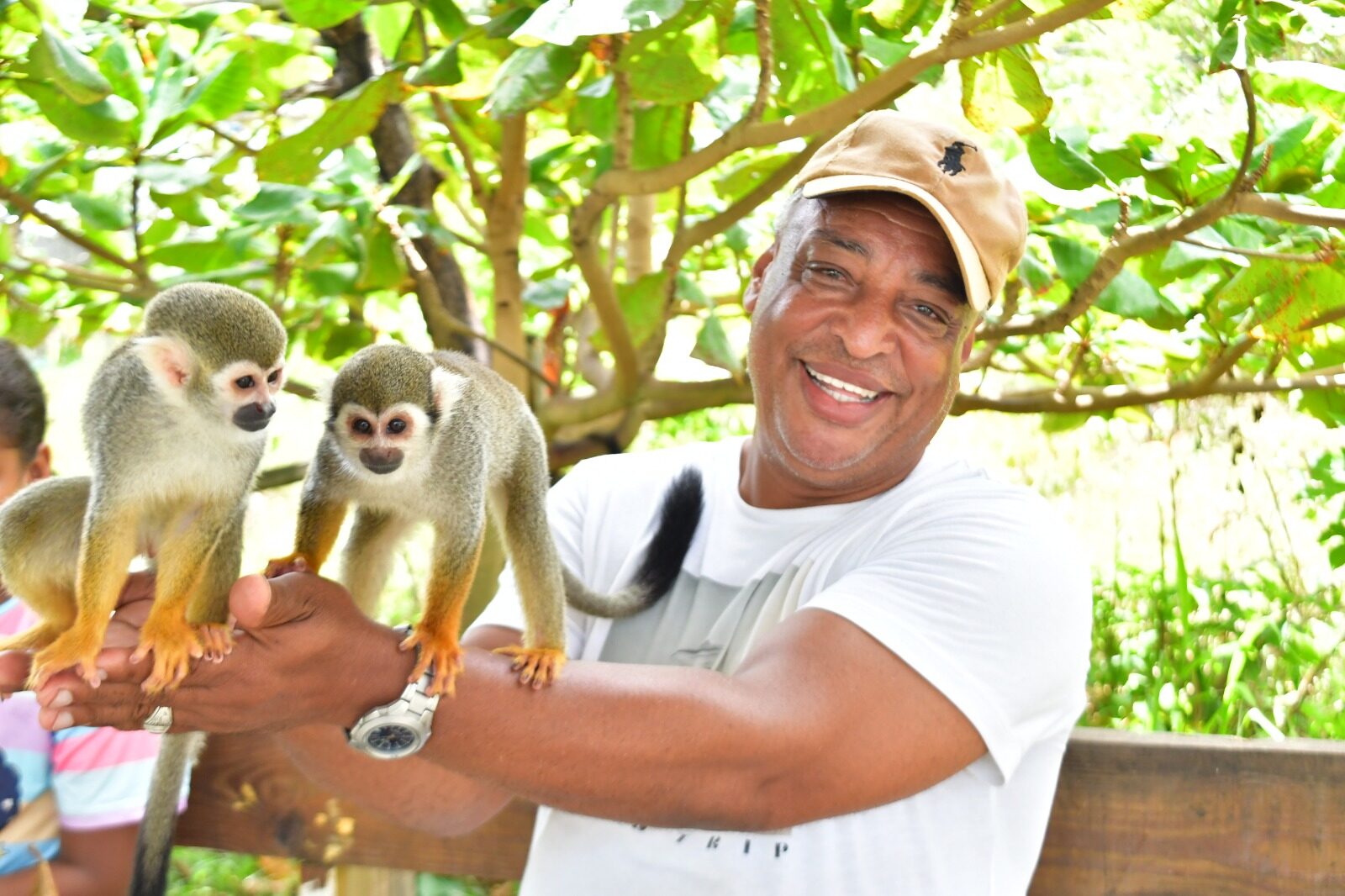 Monkey Hills Tours