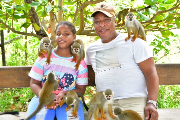 Monkeys & Dominican countryside